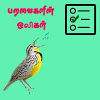 பாடங்கள்